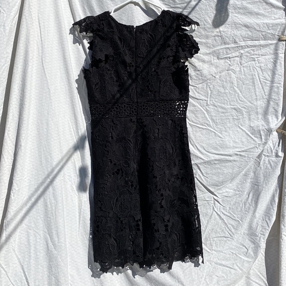 Black lace BB Dakota cocktail dress - Picture 2 of 7